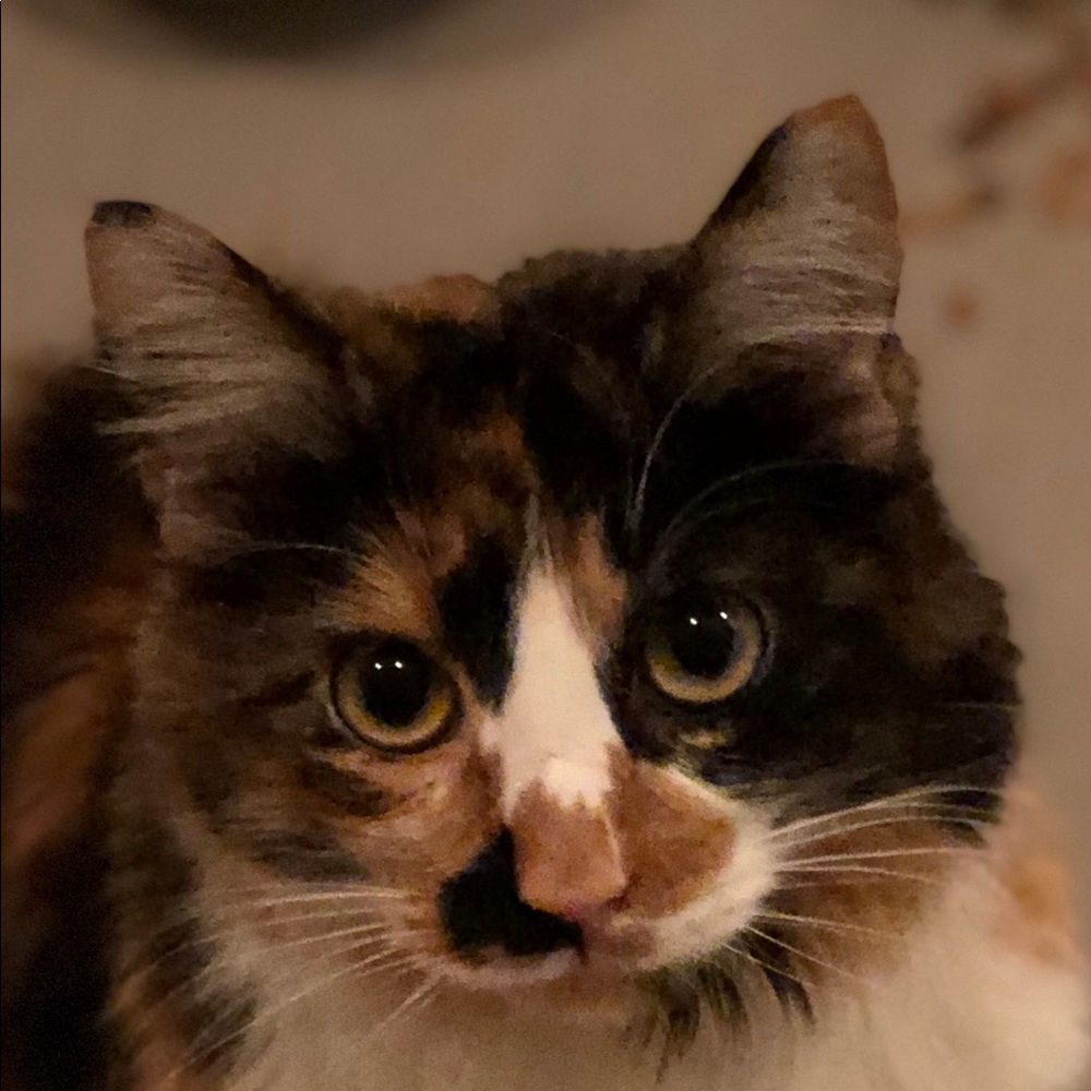 Meet your Posher, Aubrey